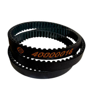Drive belt for Harley Davidson