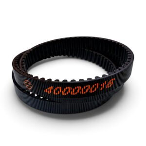 Drive belt for Harley Davidson