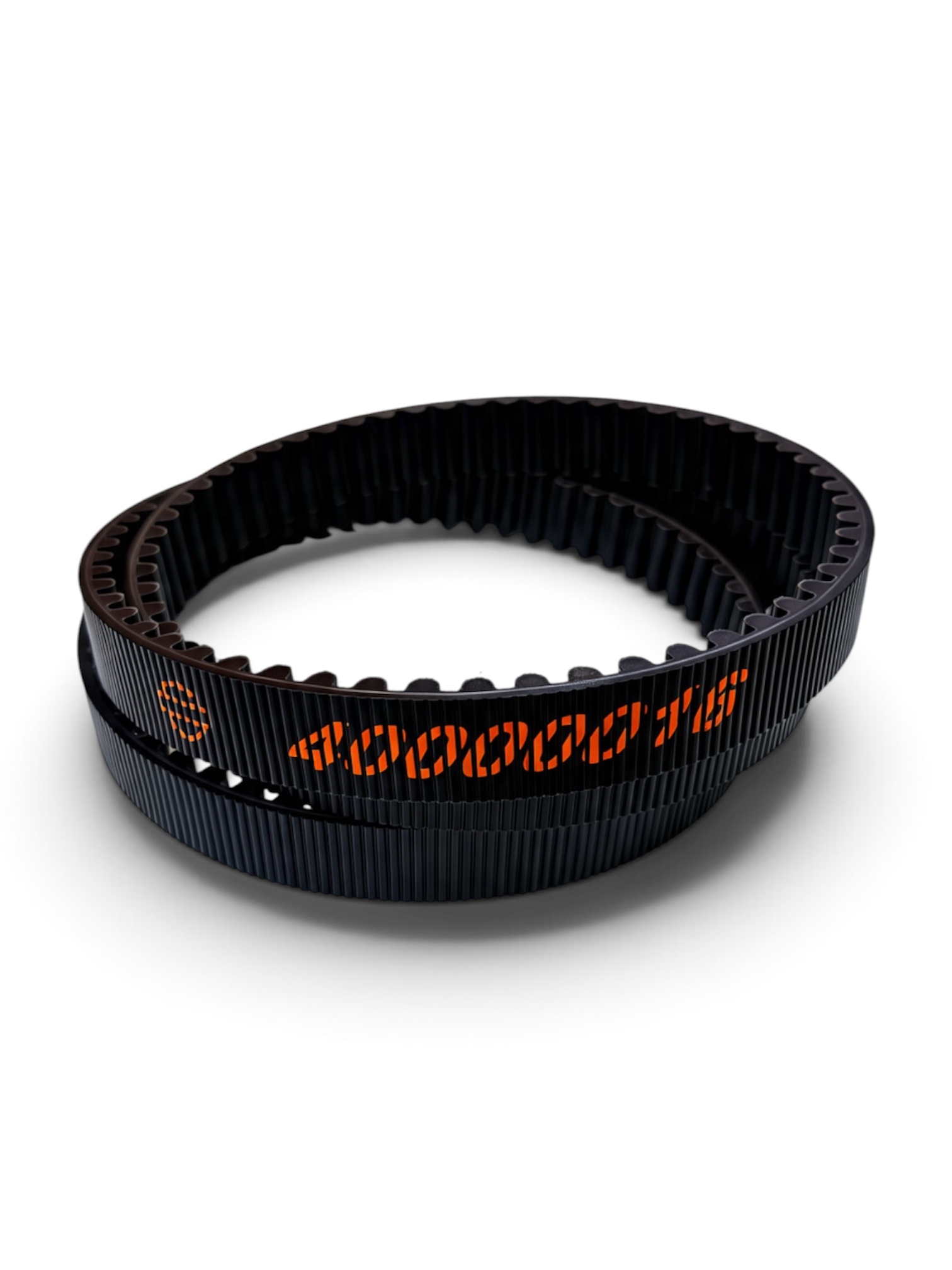 Drive belt for Harley Davidson